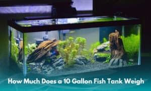 how much does a 10 gallon fish tank weigh