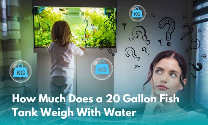 how much does a 20 gallon fish tank weigh with water